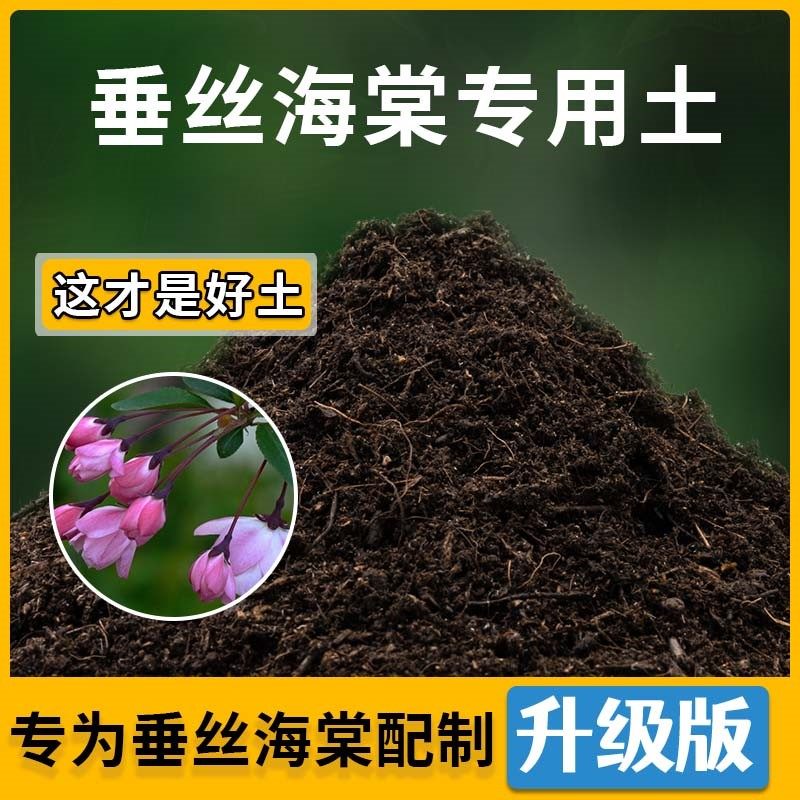 垂丝海棠专用土垂丝海棠营养土家用种植土壤家庭盆栽种花养花有机