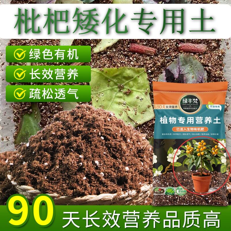 枇杷矮化适用泥炭土天然原料种植土安全可靠保护根系实惠装木本