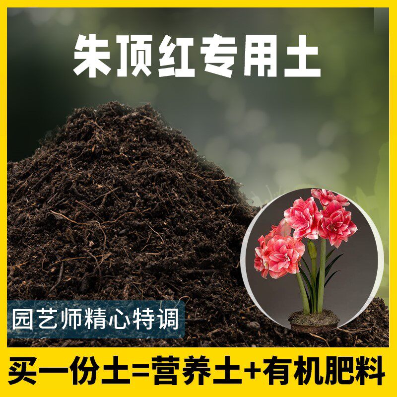 朱顶红专用土腐殖土种花养花盆栽绿植土朱顶红营养土种植有机土壤