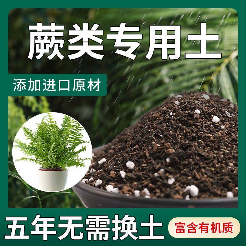 蕨类专用土一叶蕨红鳞蕨毛蕨观音莲座蕨类植物营养土颗粒土风化土