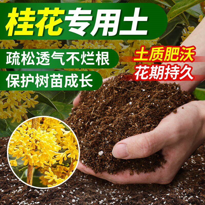 桂花专用土四季桂营养土养桂花树专用土桂花专用肥土壤泥土种植土