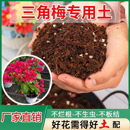 三角梅专用土阳台盆栽土蚯蚓土有机土培养土花卉种花有机盆栽花泥