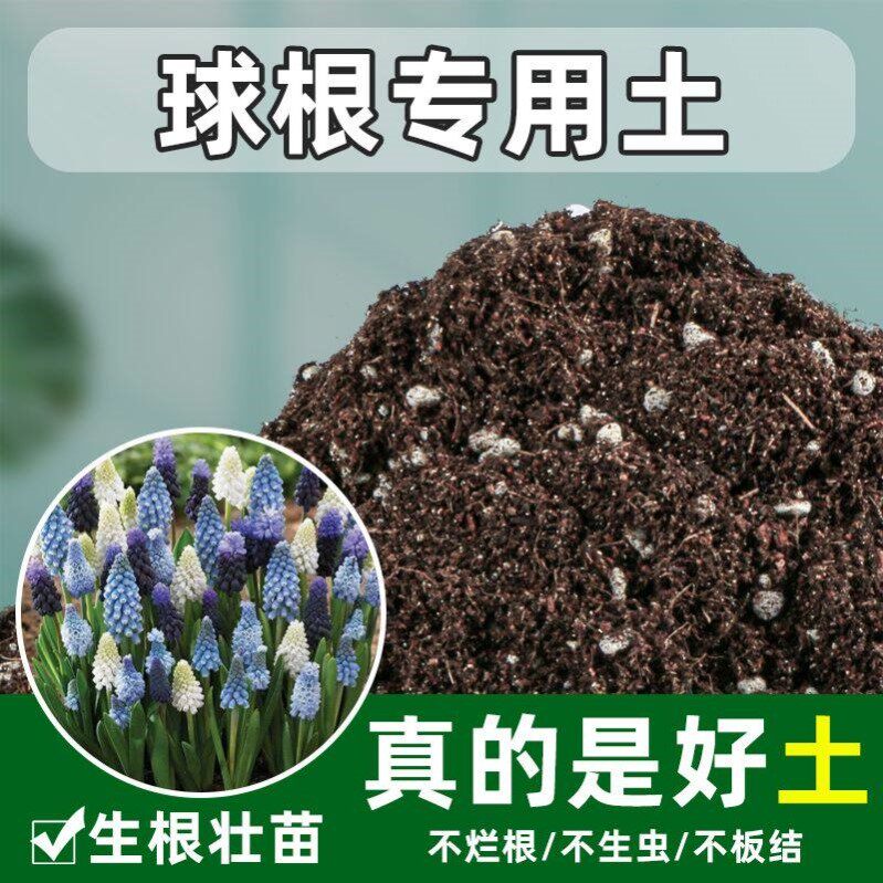 球根植物专用土营养土花盆郁金香朱顶红洋水仙种球通用腐叶腐殖土