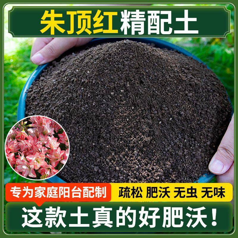 朱顶红营养土种菜专用土清仓种花专用有机肥料土多肉扦插育苗土壤