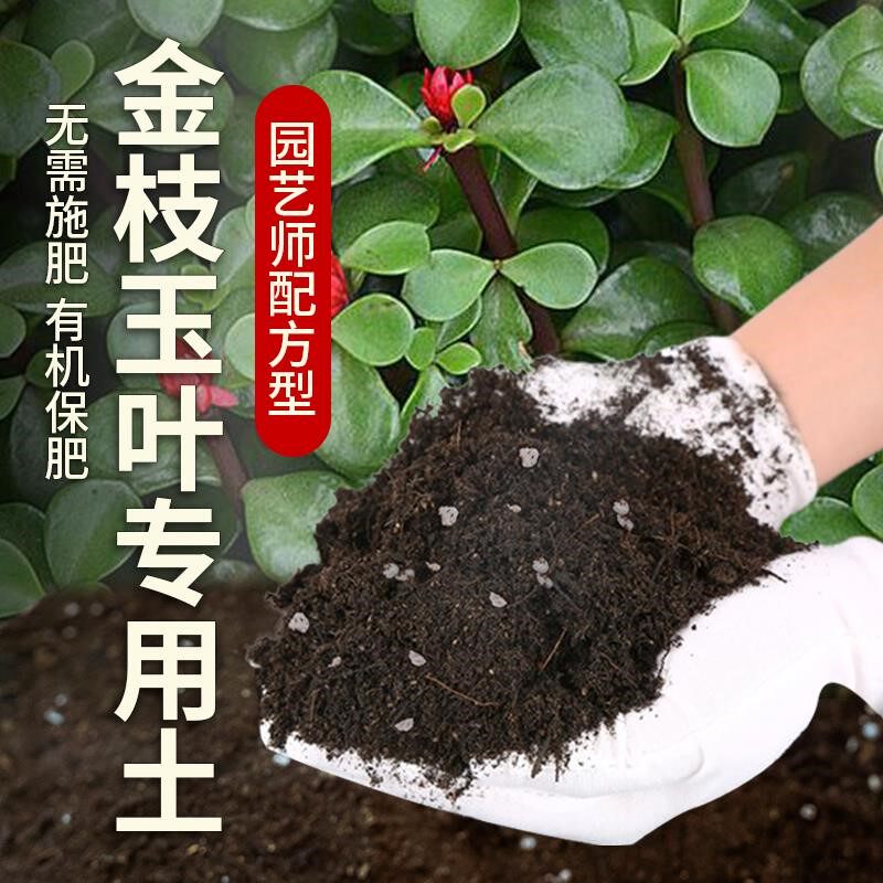 金枝玉叶专用土肥料天然绿植土花草金枝玉叶营养土有机土黑土包邮