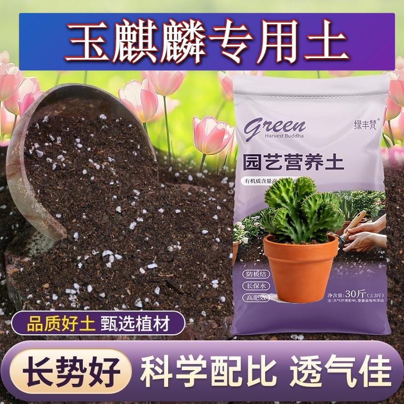 玉麒麟适用腐叶土不闷根菜园加有机肥天然防徒长观花盆景轻质土