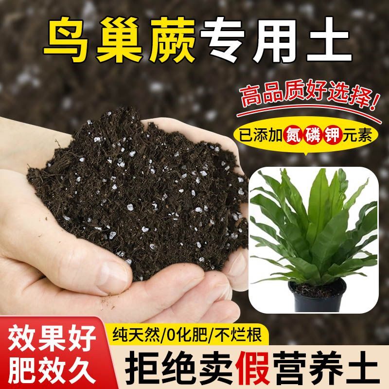 鸟巢蕨专用土营养土透气疏松家用绿植泥炭弱酸性椰糠有机种植土