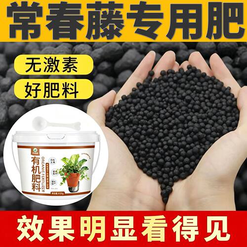 常春藤适用肥缓释颗粒肥缓释肥根系发达园艺室内底肥水溶肥追肥