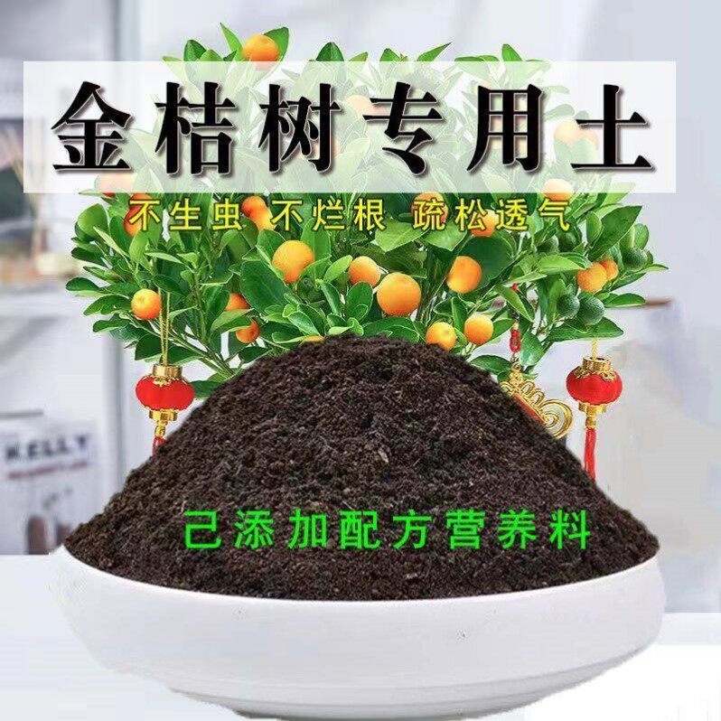 金桔树专用土盆栽有机花土种花绿植营养土壤养花通用种植土肥料