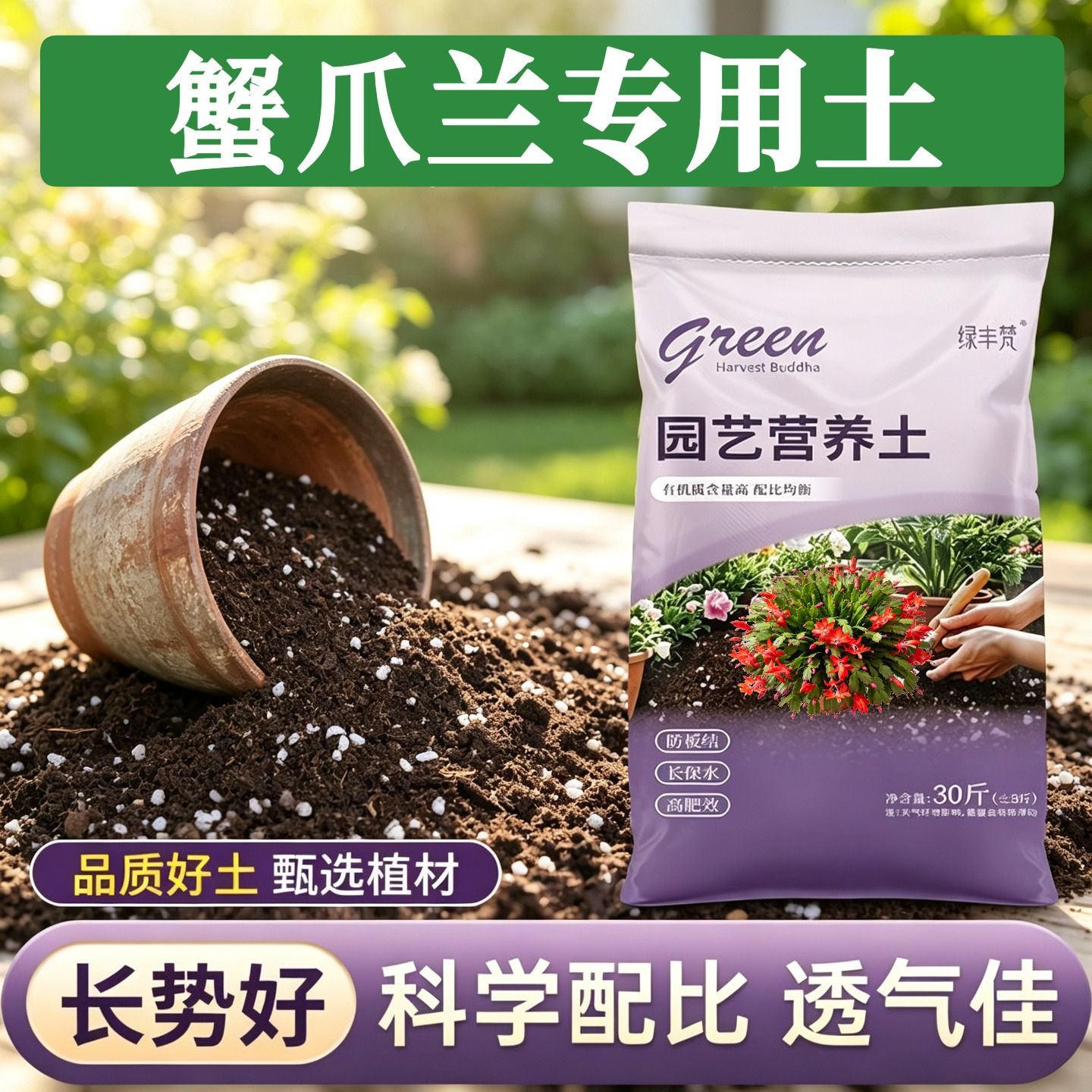 蟹爪兰适用含泥炭高温腐熟腐殖泥炭土育苗包邮精选绿叶喜酸盆景