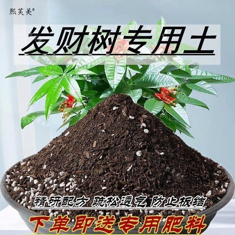 发财树专用土发财树专用营养土龙须树绿萝家用养花土种菜土壤盆栽