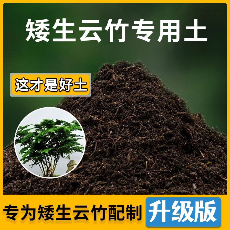 矮生云竹专用土矮生云竹营养土家用种植土壤家庭盆栽种花花有机土