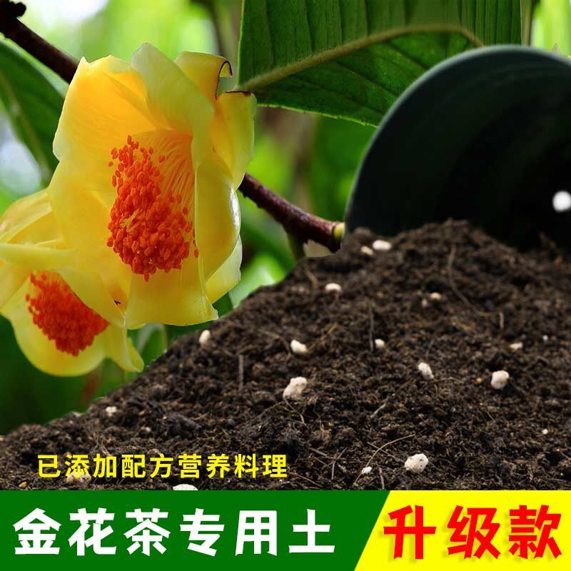 金花茶专用土有机土肥料家用种植土金花茶营养土盆栽养花通用包邮