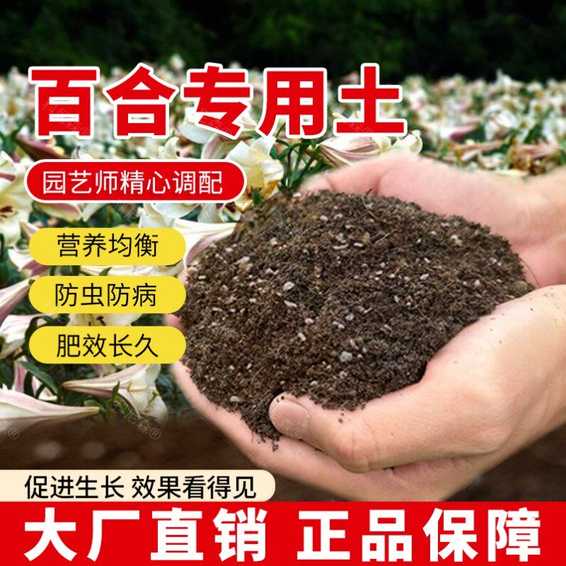 百合专用土肥料蓬松植物绿植园艺百合花营养土透气花盆泥土花草