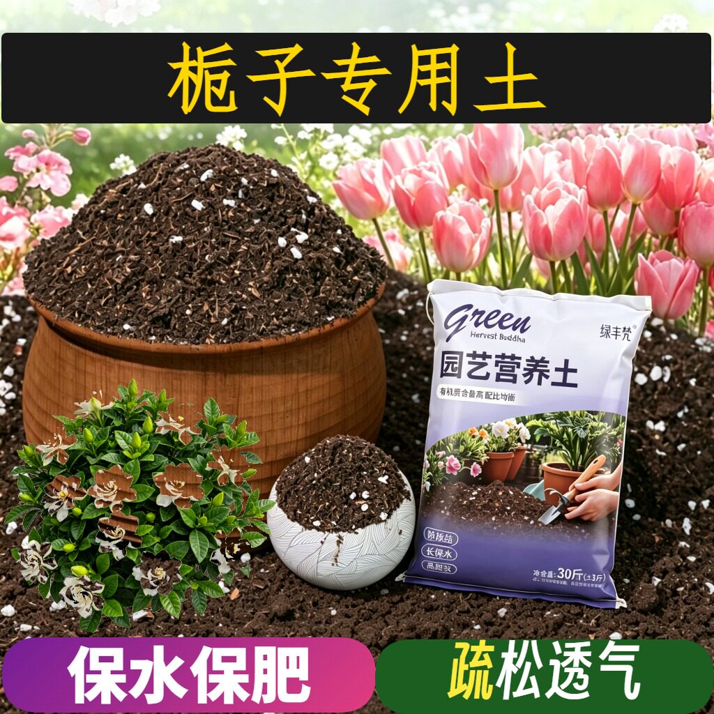 栀子专用栽培土保水保肥菜园泥炭基质进口促生长多肉扦插家庭园艺