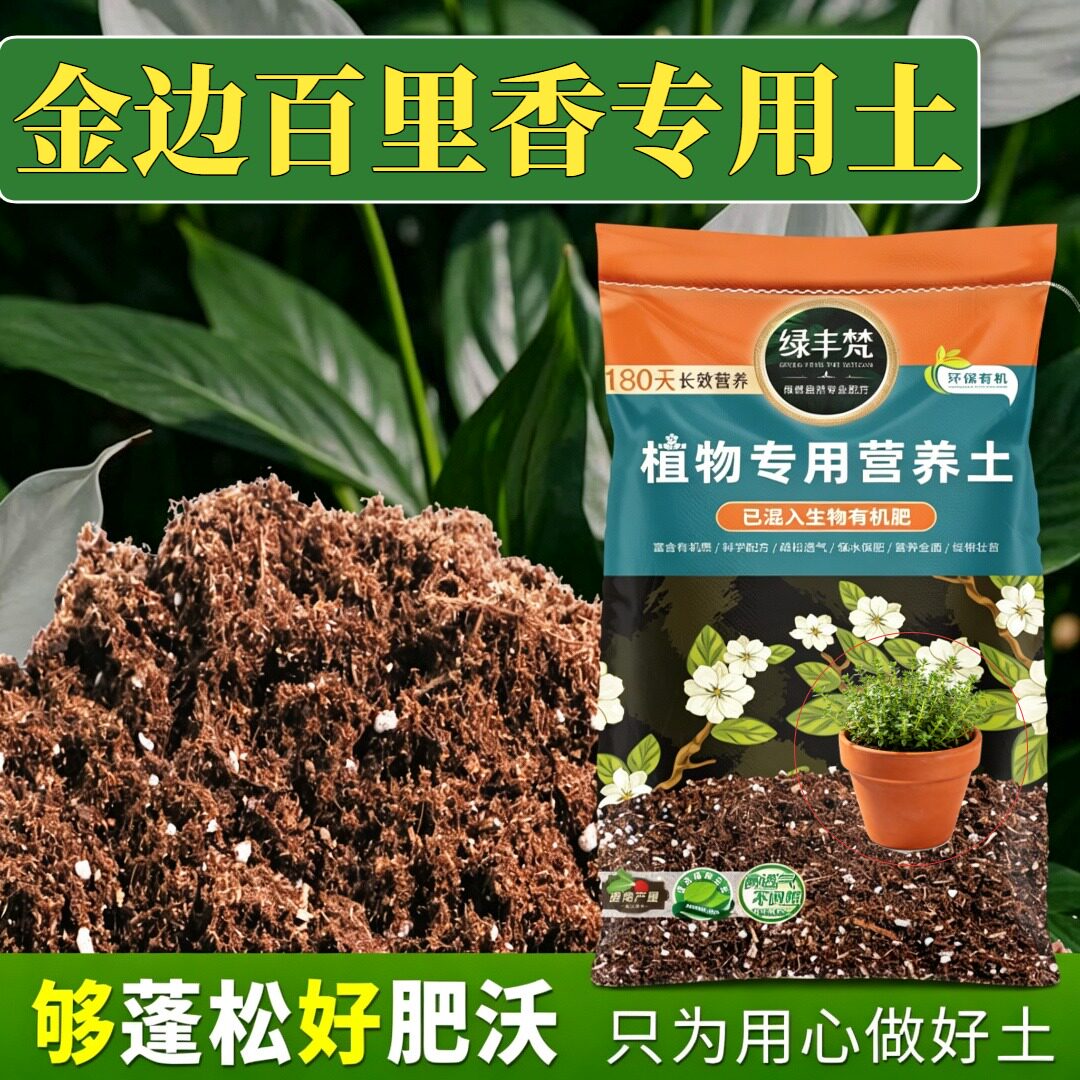金边百里香专用轻质土无尘处理盆栽土原生材质稳定土团大包装球根