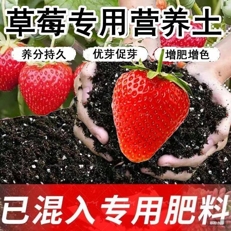 草莓专用营养土盆栽土育苗土瓜果土种植土草莓有机肥料通用型土壤