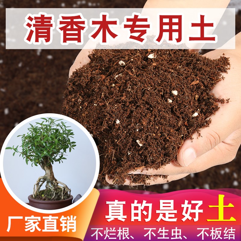清香木盆栽椰砖土保水保肥根壮苗好园艺阳台泥炭基质通用家庭园艺