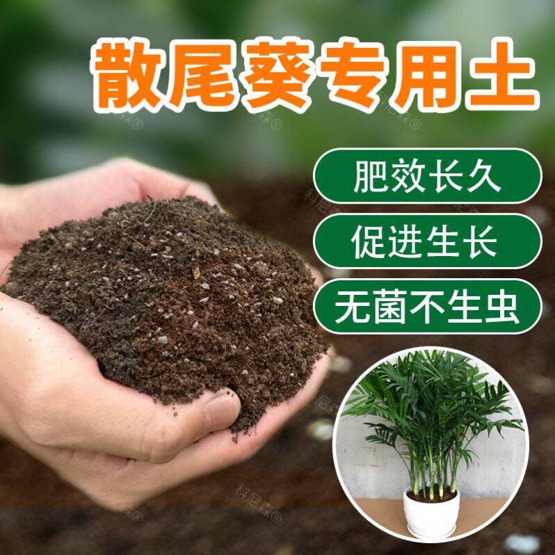 种散尾葵土壤专用营养土养花通用土凤尾葵土培养土种植土壤肥料