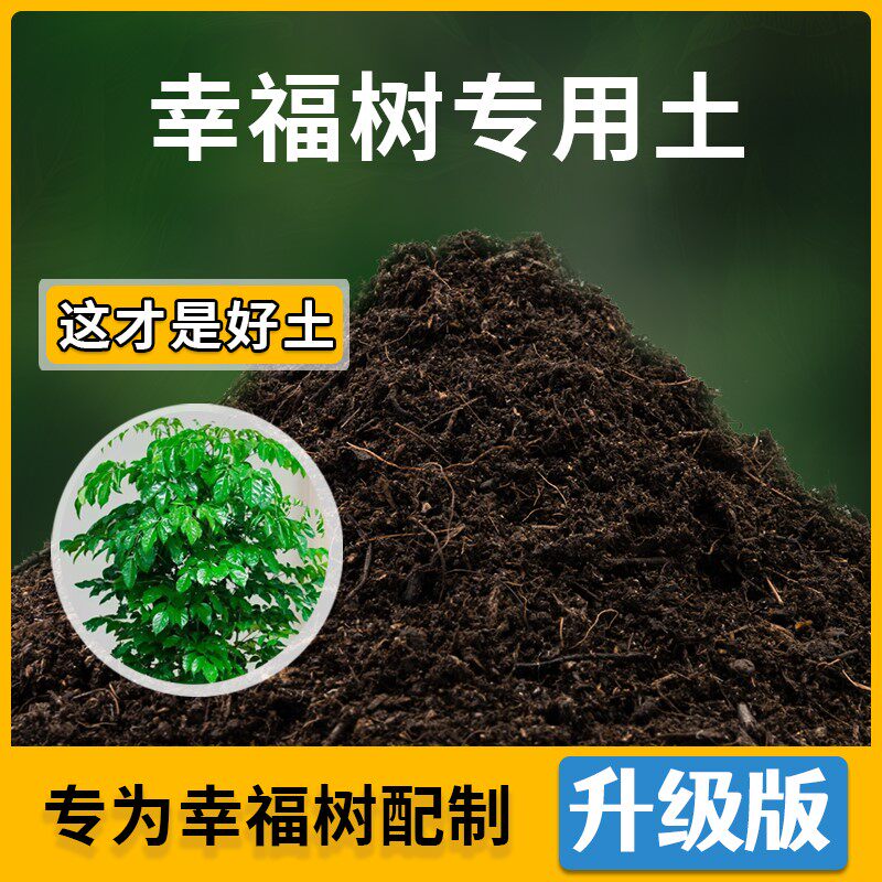 幸福树专用土花草种植土壤幸福树营养土盆栽种花养花肥料有机土