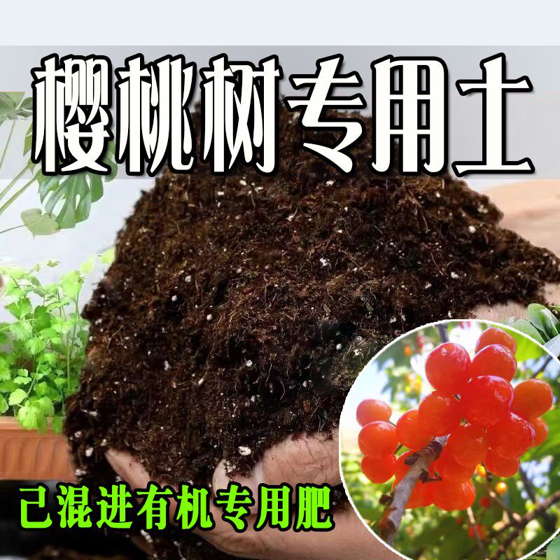 樱桃树专用土 樱桃树专用营养土 盆栽养花种花土通用种植土壤肥料