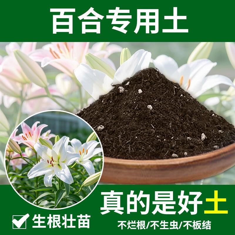 百合专用土通用盆栽土壤花卉椰砖百合专用营养土室内花盆发酵天然