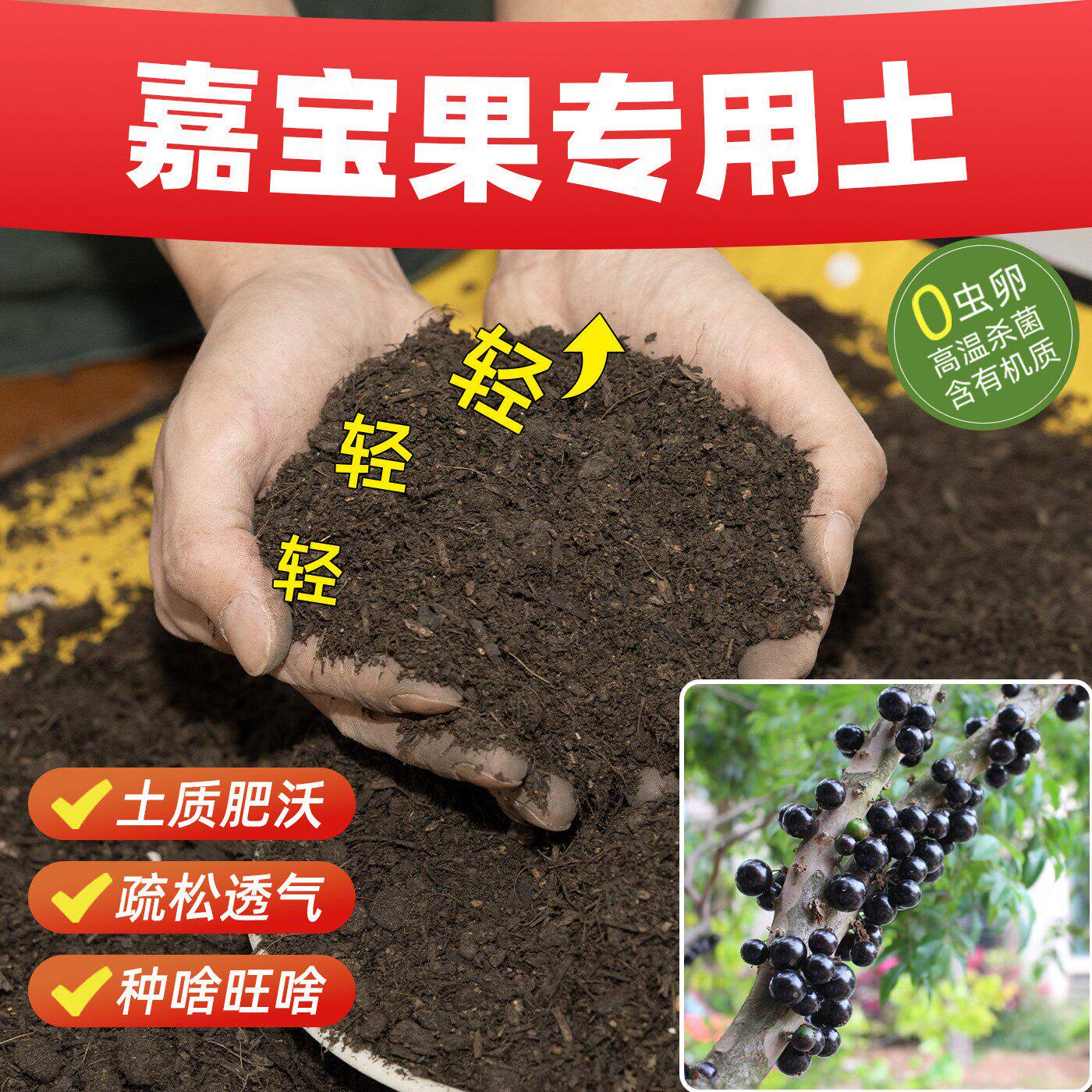 嘉宝果专用营养土疏松土壤防板结抗病通用型无虫卵育苗土室内盆栽
