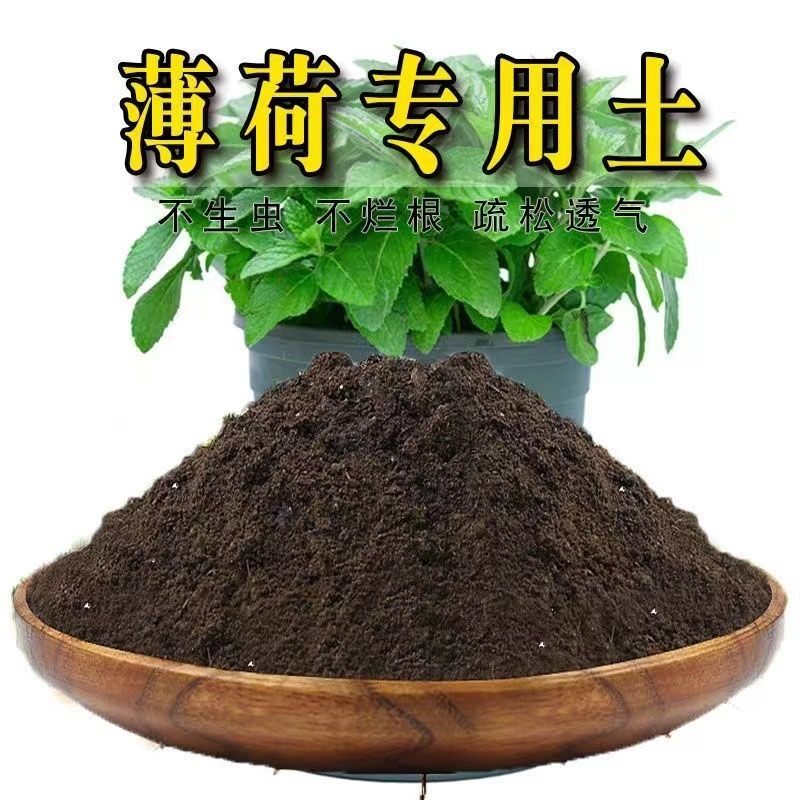 薄荷专用土薄荷种植土壤营养土种花土养花土花卉盆栽土育苗土肥料