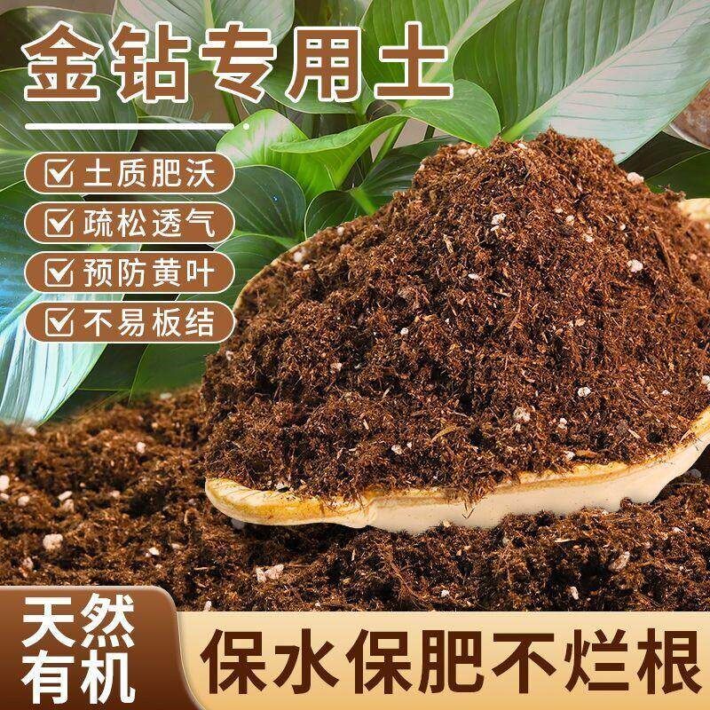 金钻专用土金钻营养土疏松透气弱酸性椰糠土养绿植养花通用有机土