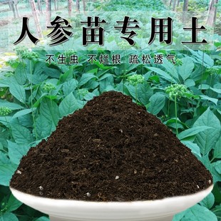 人参苗专用土人参苗土种植土壤营养土盆栽种花泥土透气通用养花土