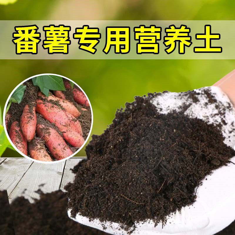 番薯家用含泥炭进口泥炭土不烂根扦插加深生根粉菜园腐叶土有机土