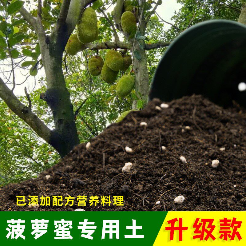 菠萝蜜专用土菠萝蜜营养土有机土肥料家用种植土盆栽种花养花泥土