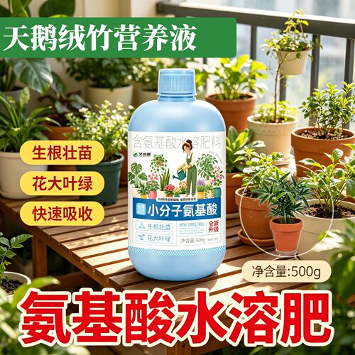 天鹅绒竹专用小分子有机质营养液小分子有机质兑水即用园艺盆栽
