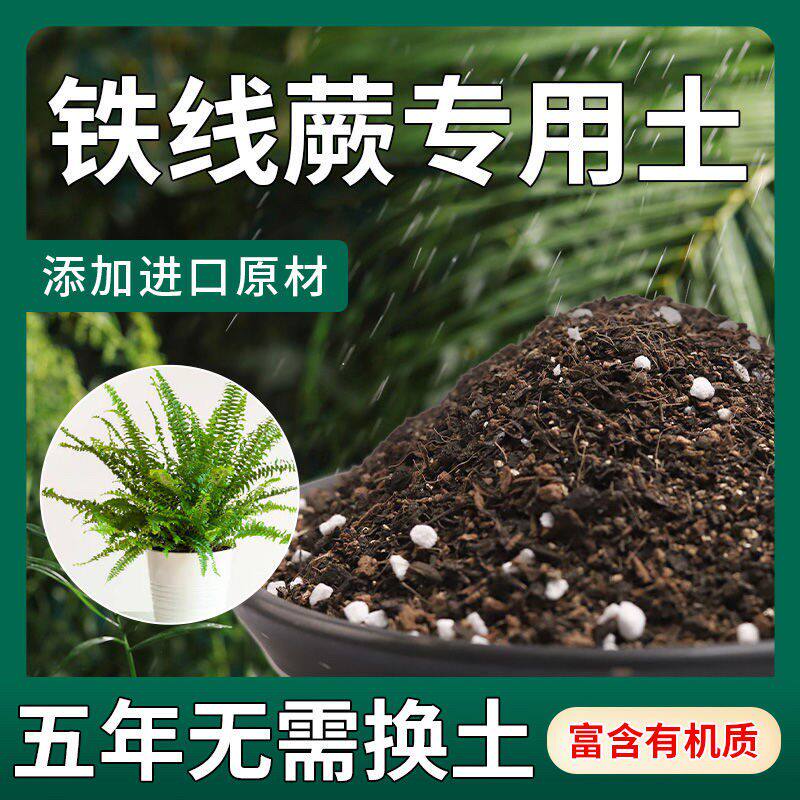 【不生虫】铁线蕨适用土疏松透气盆栽绿植专用土室内植物营养土