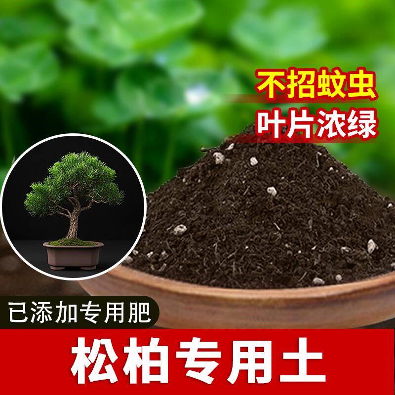 松柏专用土松柏专用营养土花卉阳台家用有机肥盆栽土壤泥土植物