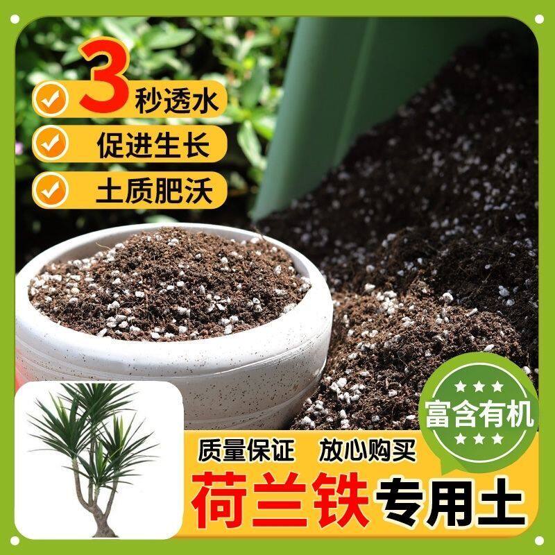 【荷兰铁专用土】家用盆栽土加生根粉绿植专用有机植物营养肥料土