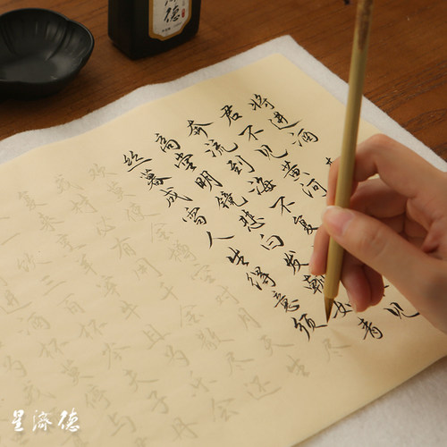 行书古诗词精选95首四诗人毛笔字帖描红宣纸仿古色成人初学者书法入门临摹毛笔套装