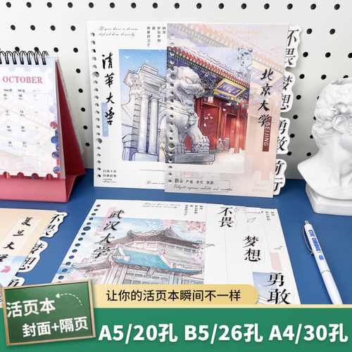 shibookA4/30孔活页本封面分隔页