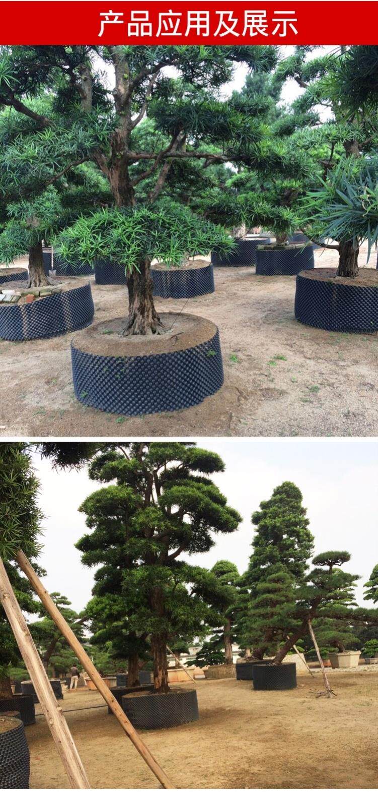 植物高压控根器土围板控根容器采购植树专用围植板1m景观0.4米pc|msdalam kategori penghantaran bunga/bunga simulasi/tumbuhan berkebun, Gardening Supplies, dulang Nursery/mangkuk pemakanan - dari Buy2taobao.com untuk memberikan perkhidmatan ejen Taobao profesional membeli