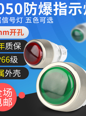 BD8050金属头防爆隔爆信号灯 LED防爆电源指示灯220V380V24V