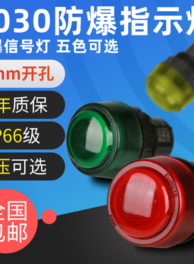 8030防爆信号灯指示灯24V36V220V380V红绿防爆配电箱LED灯ExdeIIC