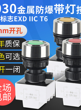 BA8030防爆带灯按钮BD自复位带指示灯塑料金属控制按钮开关30mm