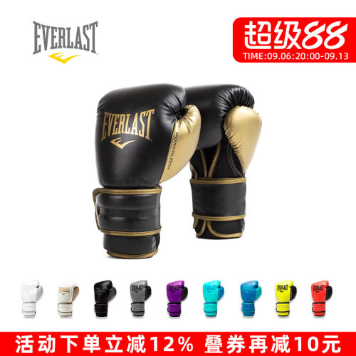 EverlastPowerlock2拳击手套