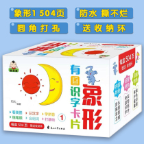 Infant pictographic literacy card 3000 characters kindergarten preschool children's early education enlightenment recognition characters 0-3-6 years old