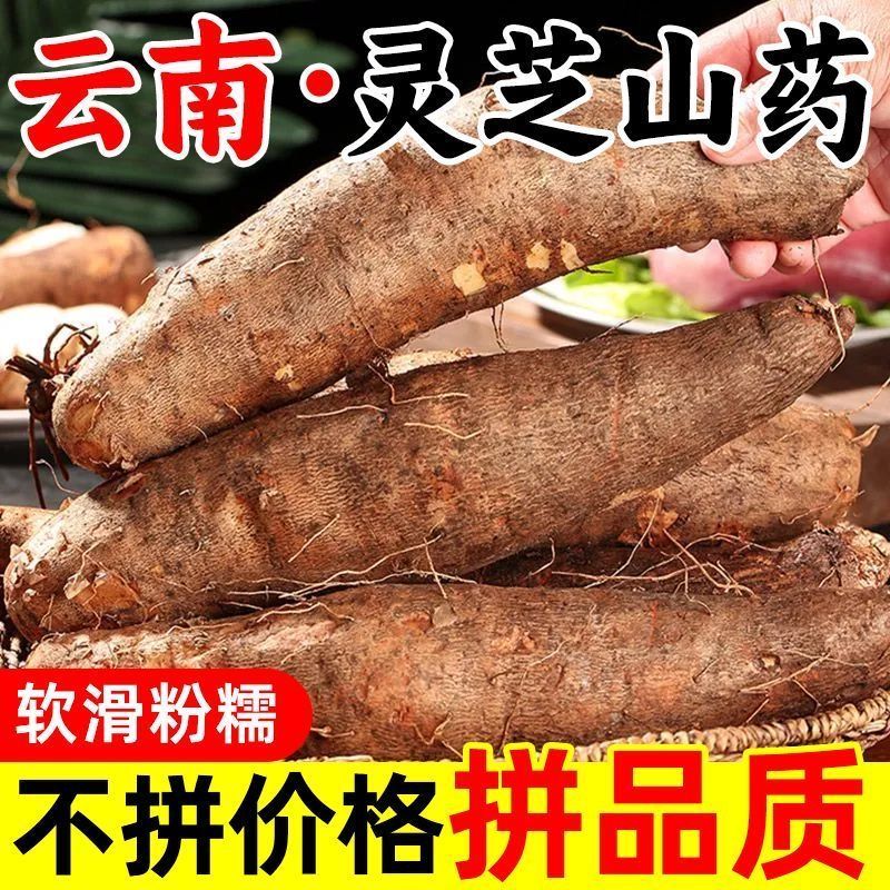 云南特产高原红土灵芝山药