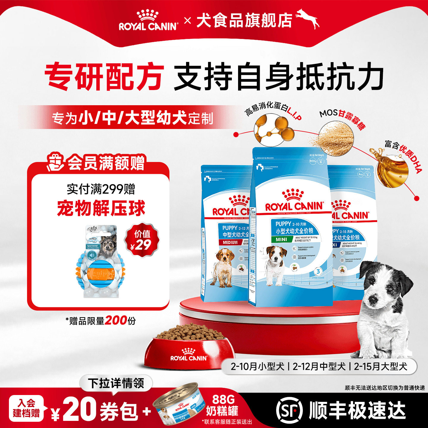 皇家狗粮小型犬奶糕熊泰迪博美图片