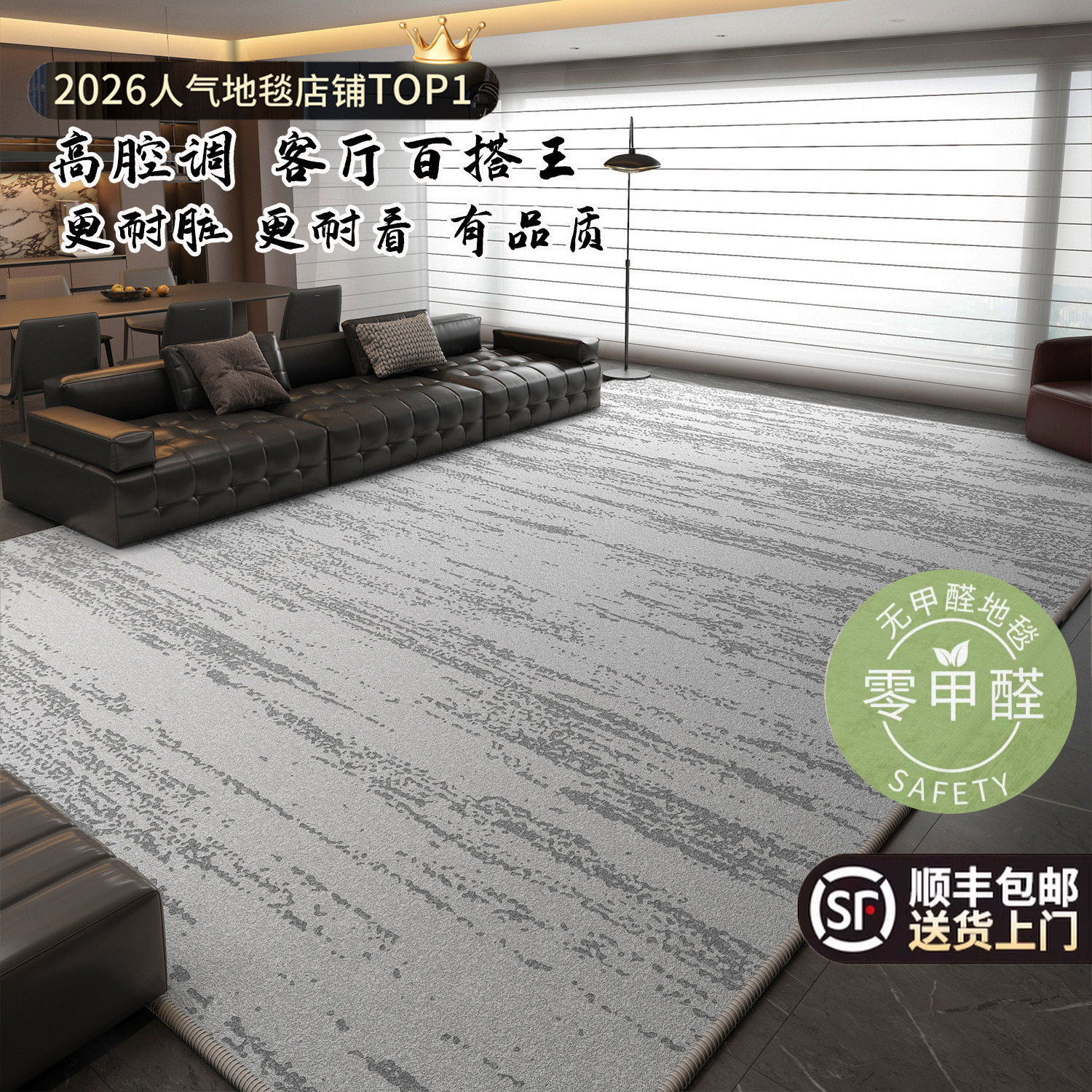 加厚地毯客厅2026新款极简轻奢高级感卧室床边毯免洗可擦卧室地垫