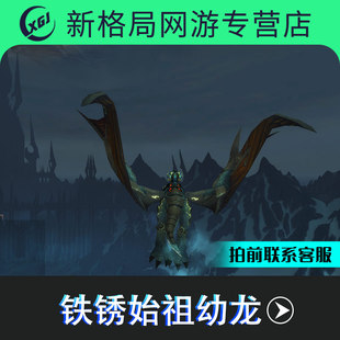 魔兽世界手工成就坐骑奥杜尔团队的荣耀铁锈始祖幼龙铁箍副本两只