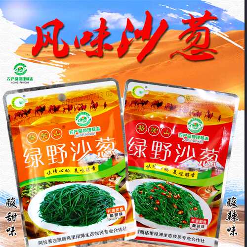 阿拉善绿野沙葱腌制下饭咸菜即食