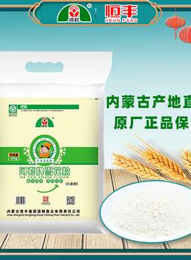 河套牌雪花粉20斤麦芯面粉包子饺子面条家用面粉食材10斤内蒙恒丰